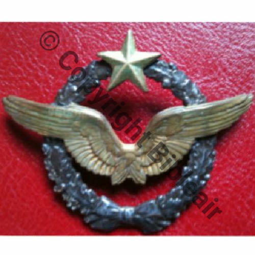 BREVET PILOTE  WW1 B20496 SM 2Anneaux Dos lisse Sc.dent5611 122Eur12.11 