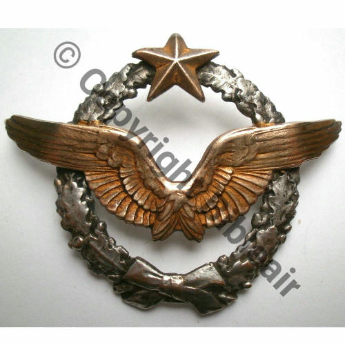 BREVET PILOTE  WW1 B20741 SM 2Anneaux Dos lisse Src.roxhan888 169EurInv 