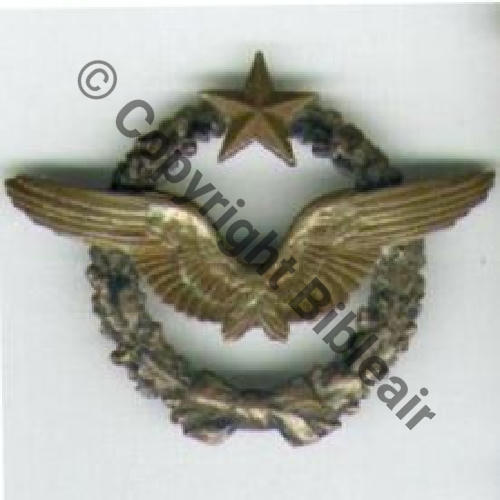 BREVET PILOTE  WW1 B2258 351Eur 07.05 