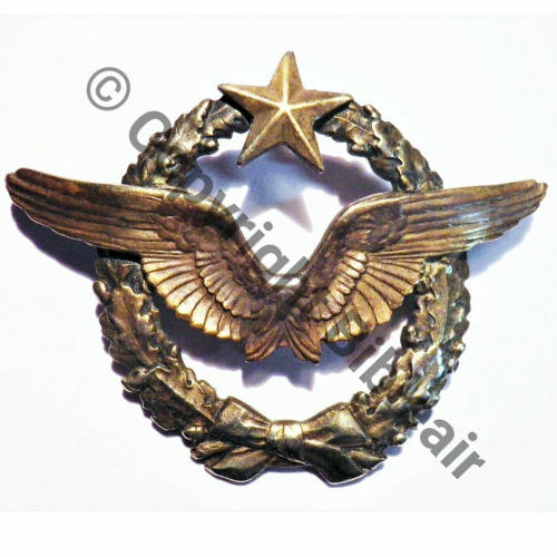 BREVET PILOTE  WW1 B4818  SM 2Anneaux Dos lisse  Src.carybroc  493Eur03.19 avec croix guerre 2 palmes 3 clous 