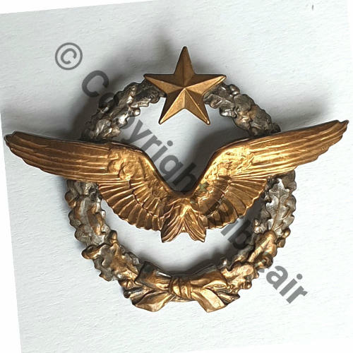 BREVET PILOTE  WW1 B5247 SM Dos lisse 2Anneaux Src.lamandier 400EurInv 