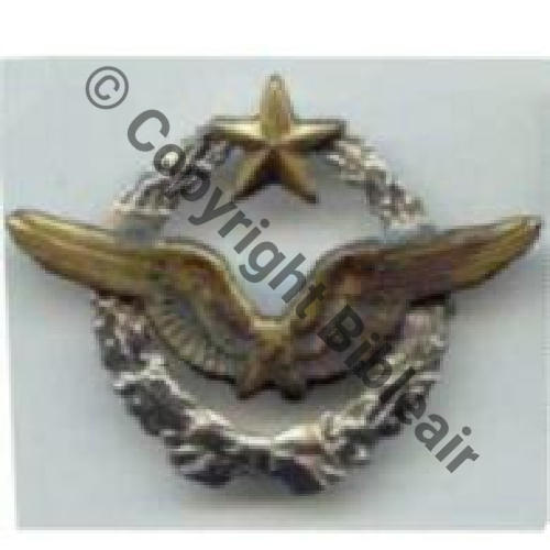BREVET PILOTE  WW1 B6062 SM Dos lisse 2Anneaux 122Eur12.06 