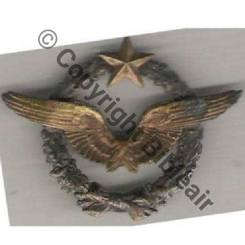 BREVET PILOTE  WW1 B6348 SM Dos lisse 2Anneaux Sc.luciennepaulbert  247Eur01.07 