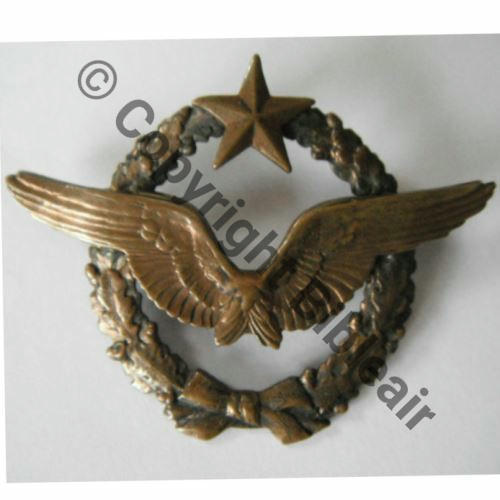 BREVET PILOTE  WW1 B6514 SM Dos lisse 2Anneaux  406Eur05.13 BREVET WW1 B6514 Src.jppl94