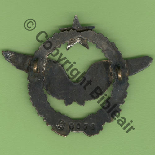 BREVET PILOTE  WW1 B8076 2anneaux Dos lisse Pil de BR.216 cfIns DrilleWW1 Src.Y.GENTY 250Eur03.26 