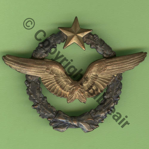 BREVET PILOTE  WW1 B8076 2anneaux Dos lisse Pil de BR.216 cfIns DrilleWW1 Src.Y.GENTY 250Eur03.26 