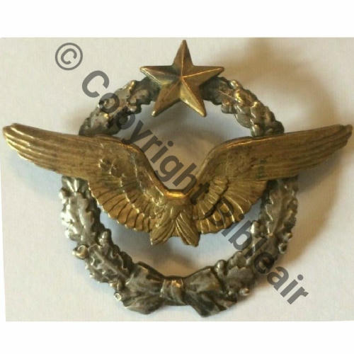 BREVET PILOTE  WW1 B8889 SM Dos lisse 2Anneaux Src.venachese1895  450EurInv 