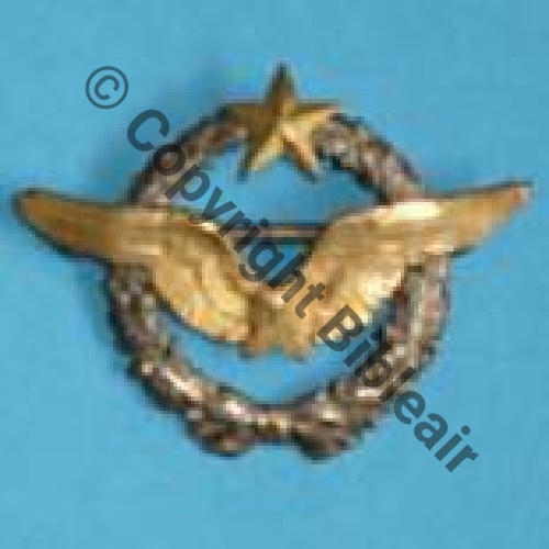 BREVET PILOTE  WW1 B9783 2anneaux Dos lisse Sc.6987levasseur 291Eur06.08