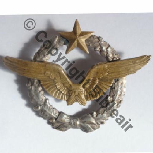 BREVET PILOTE  WW1 B9809 2anneaux Dos lisse Src.varango76 357Eur05.13 