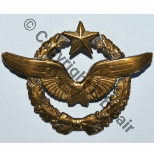BREVET PILOTE  WW2 No 23230  SM 2Anneaux Dos lisse Src.ti_m_so  100Eur12.13 