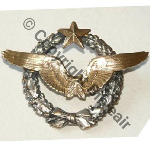 BREVET PILOTE  WW2 No 31318  SM 2Anneaux Dos lisse Sc.faje4 100Eur10.09  