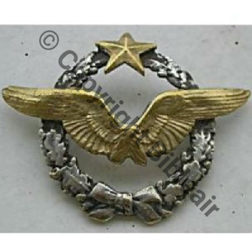 BREVET PILOTE  WW2 No 31809 grave au stylet  SM 2Anneaux Dos lisse  36Eur11.06 Sc.PROST 