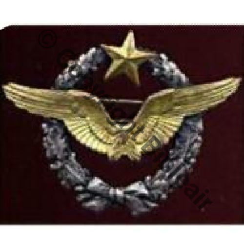 BREVET PILOTE  WW2 No 33419  SM 2Anneaux Dos lisse  80EurInv Sc.laffred64 