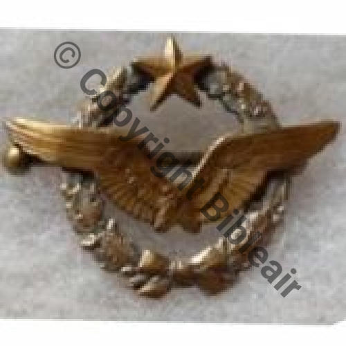 BREVET PILOTE  WW2 No 35656  SM 2Anneaux Dos lisse Sc.T.LECLERE 140EurInv 