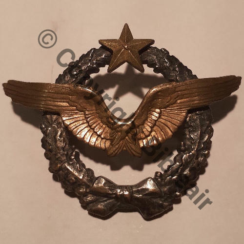 BREVET PILOTE  WW2 No 36563  SM 2Anneaux Dos lisse Src.djmgend 99EurInv 