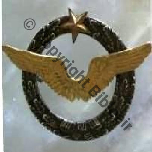 BREVET PILOTE Couronne plate Sans Laurier  SM (MOURGEON) 2Anno Dos lisse Ailes pleines Aile et etoile brochees10Eur09.06