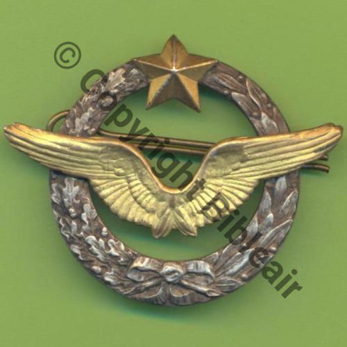 BREVET PILOTE Couronne plate avec laurier  SM (MOURGEON) 2Anneaux Dos lisse Etoile et ailes embouties etoile sertie 14Eur03.12 Sc.Y.GENTY 