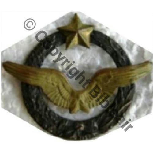 BREVET PILOTE Couronne plate avec laurier  SM Dos lisse