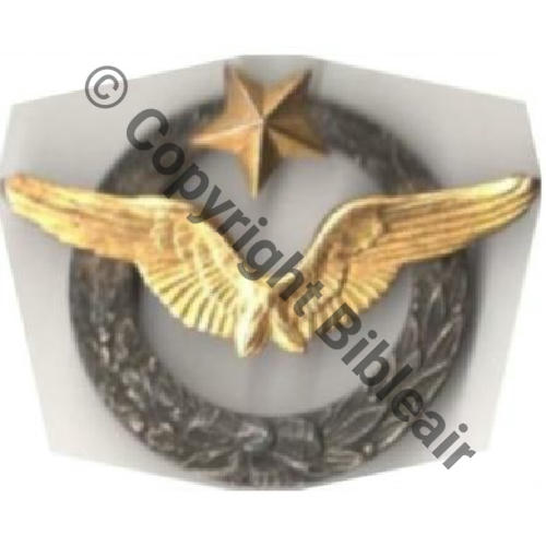 BREVET PILOTE Couronne plate avec laurier Etoile a envers  SM Dos lisse 21Eur10.05 