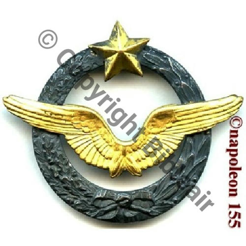BREVET PILOTE Couronne plate avec laurier Grosse etoile emboutie sertie  SM Dos lisse Ailes embouties Src.STELLA 12Eur02.12 