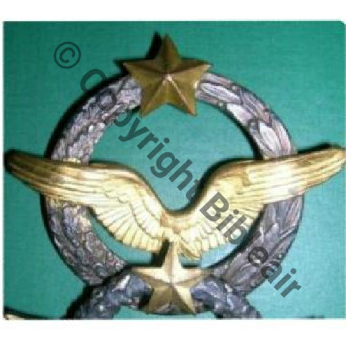 BREVET PILOTE Couronne plate avec laurier WW2 sans No circa 1930-40  SM (MOURGEON) 2Anneaux Dos lisse Etoile et ailes embouties 25Eur10.07 Sc.alpilles 