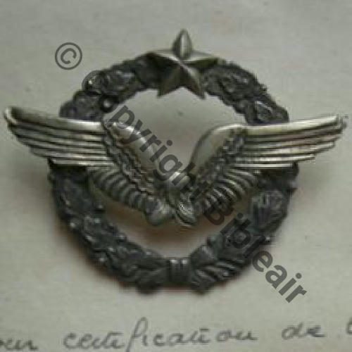 BREVET PILOTE Couronne plate sans laurier 13.10.47 Pilote du GMA.595 SM Dos lisse AILE DOREE tres elimee Src.4547frederic 85Eur05.12 