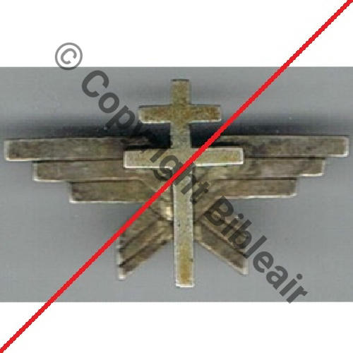 BREVET PILOTE FAFL Libre inspiration Fab Perso Dos irreg Eping soudee Src.budg81 30Eur11.12 