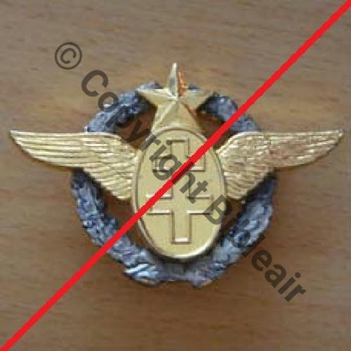 BREVET PILOTE FAFL miniature  SM 2Anneau Dos lisse irreg COPIE Src.mmemistou 13Eur10.09  