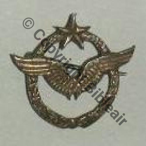BREVET PILOTE Fab locale INDO ARGENT Eping bascule 30mm
