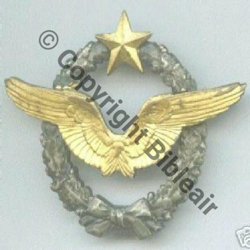 BREVET PILOTE No.29532  SM 2Anneaux Dos lisse irreg Sc.3violette  53Eur03.07