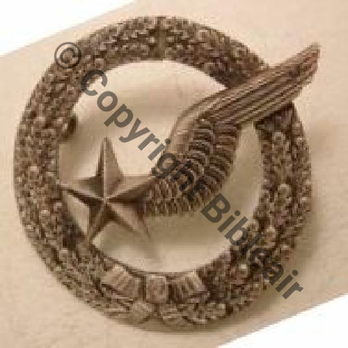 ELEVE PILOTE AVION  (MOURGEON..) 2Anneaux Dos lisse Aile emboutie 29Eur01.07