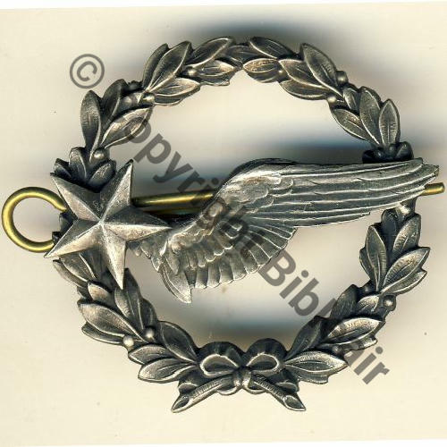 ELEVE PILOTE AVION  SM 2Anneaux Embouti Avant guerre LAURIERS SEULS Src.BARTLETT 33Eur(x2)