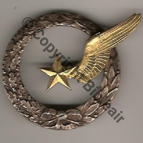 ELEVE PILOTE AVION  SM AILE doree Couronne relief 2Anneaux Dos lisse avant 45 Sc.mian04nou 16EurInv 