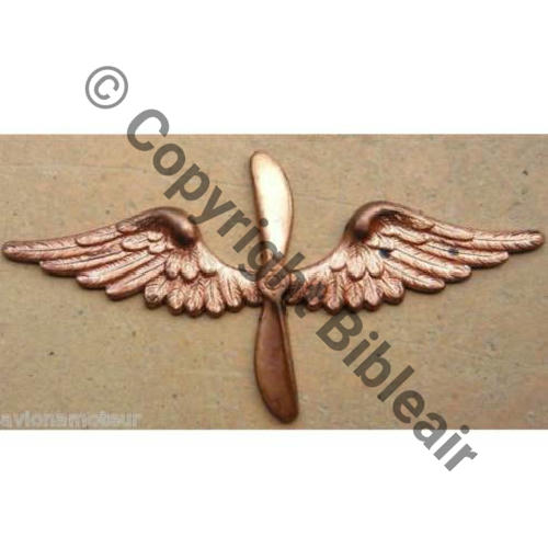 INS NON REGLEMENTAIRE  BREVET AEROSTIER Cie Aero SM sans attache ni trou Embouti 16Eur10.09 