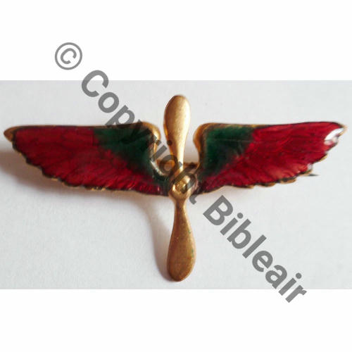 INS NON REGLEMENTAIRE  BREVET AEROSTIER EMAIL  SM Eping a bascule Dos lisse irreg Embouti 43x23mm Src.leberetvert 199EurInv