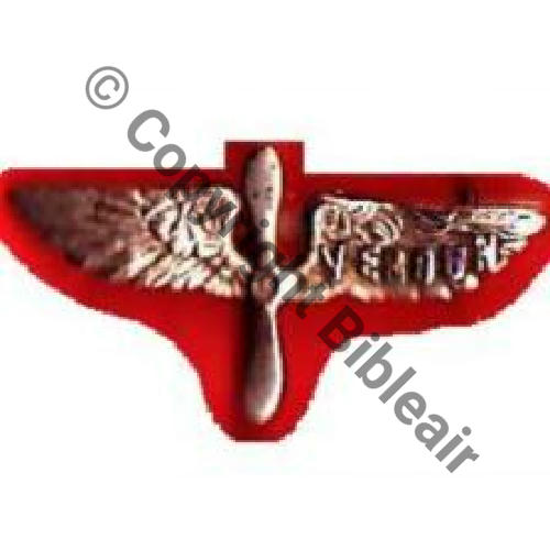 INS NON REGLEMENTAIRE  BREVET AEROSTIER Marque VERDUN 45mm 51Eur Ebay10.06 