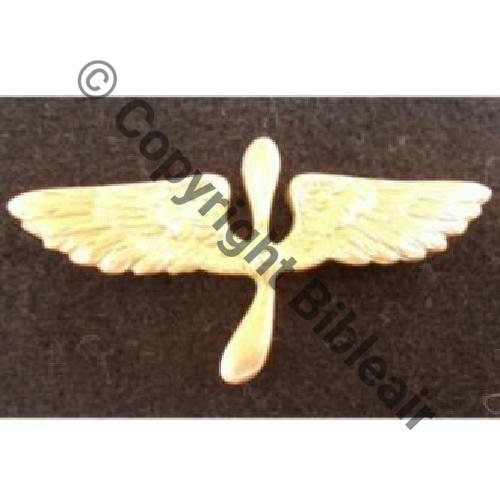 INS NON REGLEMENTAIRE  BREVET AEROSTIER SM Eping Dos lisse 45mm 38Eur Invendu 