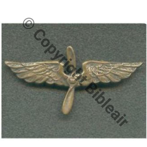 INS NON REGLEMENTAIRE  BREVET AEROSTIER SM Eping bascule Dos lisse 43x22mm Sc.JJ.LECLERC 38Eur02.07