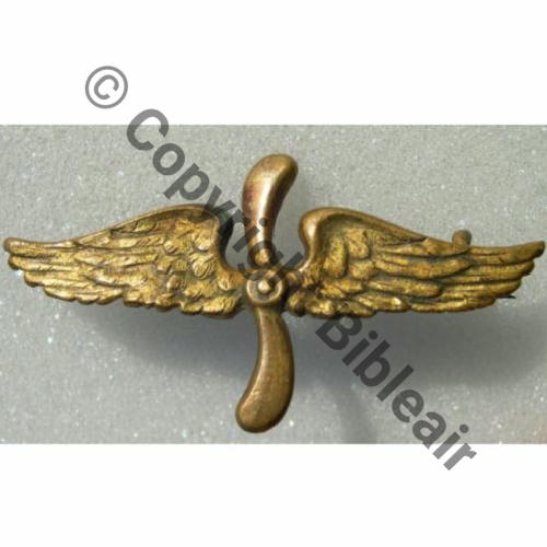 INS NON REGLEMENTAIRE  BREVET AEROSTIER SM Eping bascule Dos lisse Embouti 45x25mm Sc.metabolith 42Eur04.11