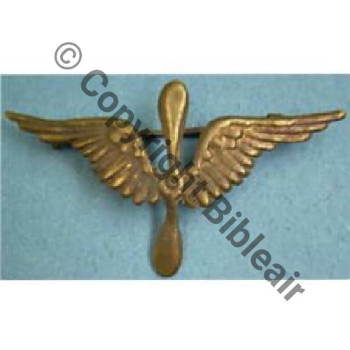 INS NON REGLEMENTAIRE  BREVET AEROSTIER SM Eping bascule Dos lisse Embouti 45x25mm Sc.neolechih