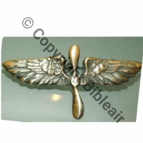 INS NON REGLEMENTAIRE  BREVET AEROSTIER SM Eping bascule Dos lisse embouti   37Eur09.07