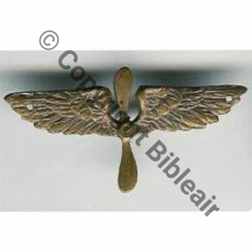 INS NON REGLEMENTAIRE  BREVET AEROSTIER