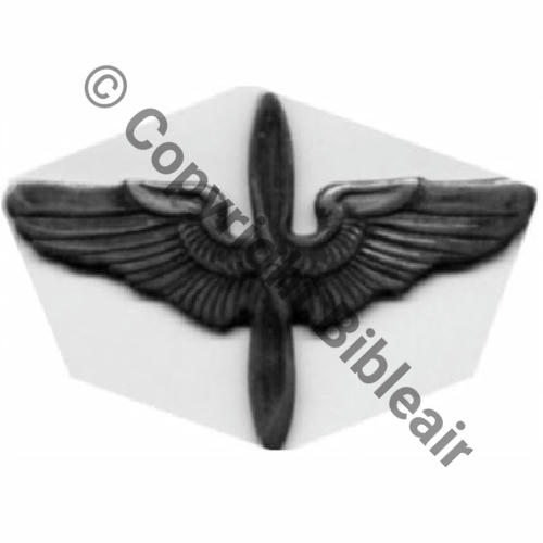 INS NON REGLEMENTAIRE BREVET PIL Argent 46Eur