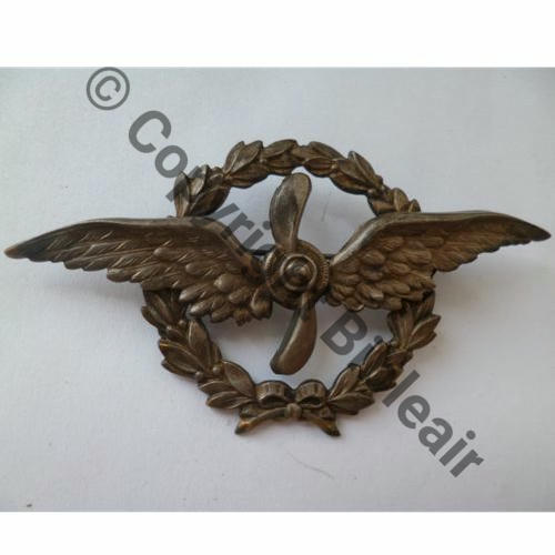 INS NON REGLEMENTAIRE BREVET PIL VARIANTE COURONNE LAURIERS BRONZE  SM Eping bascule Dos lisse Aile Emboutie Src.germanauctions 200EurInv 