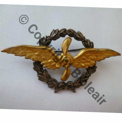 INS NON REGLEMENTAIRE BREVET PIL VARIANTE COURONNE LAURIERS DORE  SM Eping bascule Dos lisse Aile Emboutie Src.germanauctions 200EurInv 
