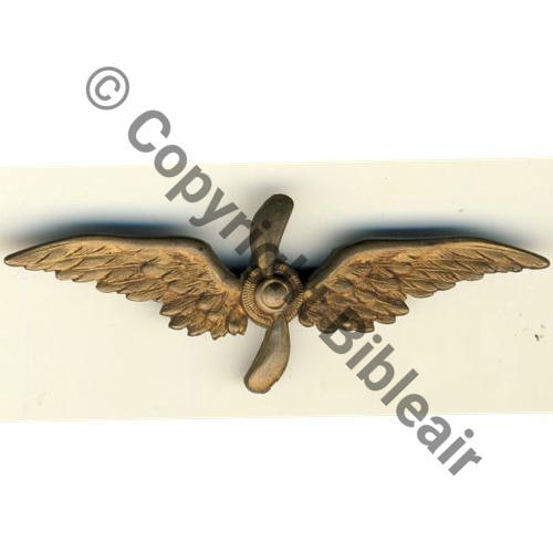 INS NON REGLEMENTAIRE BREVET PIL VARIANTE SANS COURONNE LAURIERS  SM Eping bascule Dos lisse irreg Embouti Src.BARTLETT 41Eur08.15