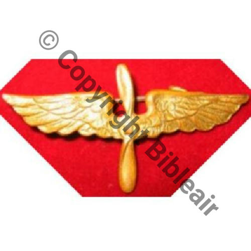 INS NON REGLEMENTAIRE BREVET offert par US aux pil en 18 et porte jusqu en 21 30Eur Ebay02.06 