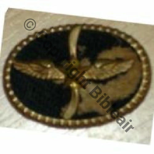 Ins de COL... PILOTE MECANICIEN 10Eur Invendu