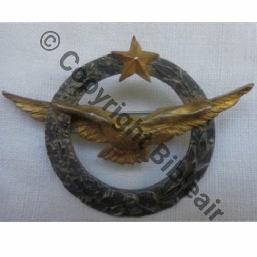 XX BREVET PILOTE FANTAISIE (cf CUICH)  SM Eping bascule Dos lisse Src.raoul6253  328Eur12.13 