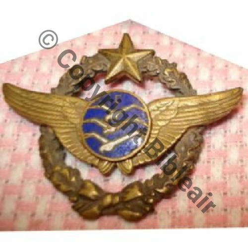 xx BREVET PIL PLANEUR FANTAISIE Sc.xbrodm03 